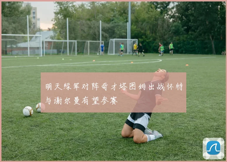 明天绿军对阵奇才塔图姆出战怀特与谢尔曼有望参赛