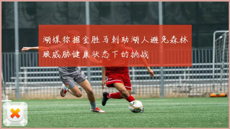 湖媒称掘金胜马刺助湖人避免森林狼威胁健康状态下的挑战